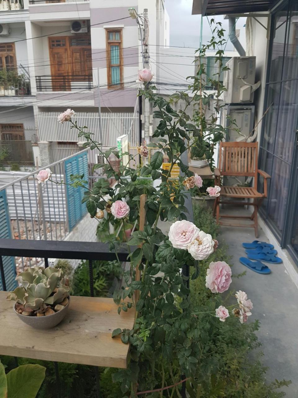 La La House Homestay На Транг Екстериор снимка