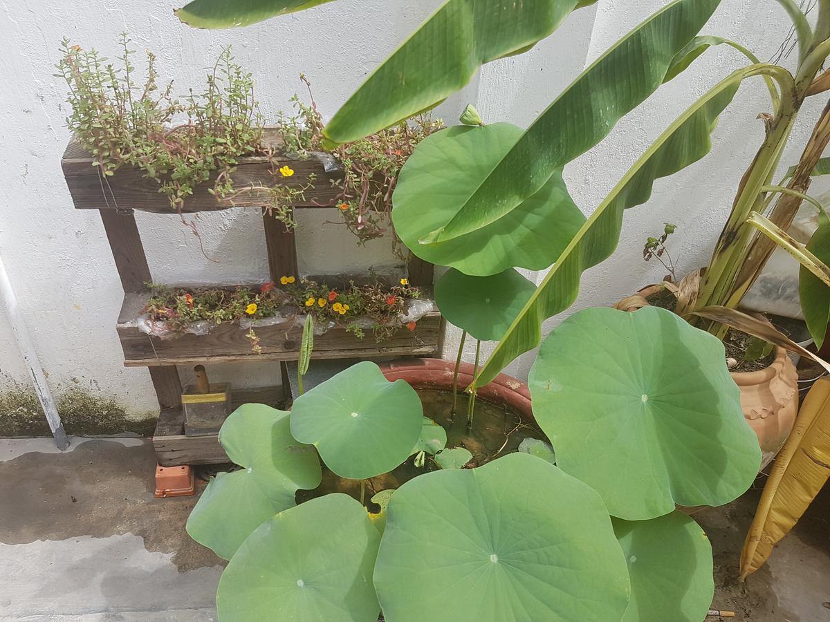 La La House Homestay На Транг Екстериор снимка