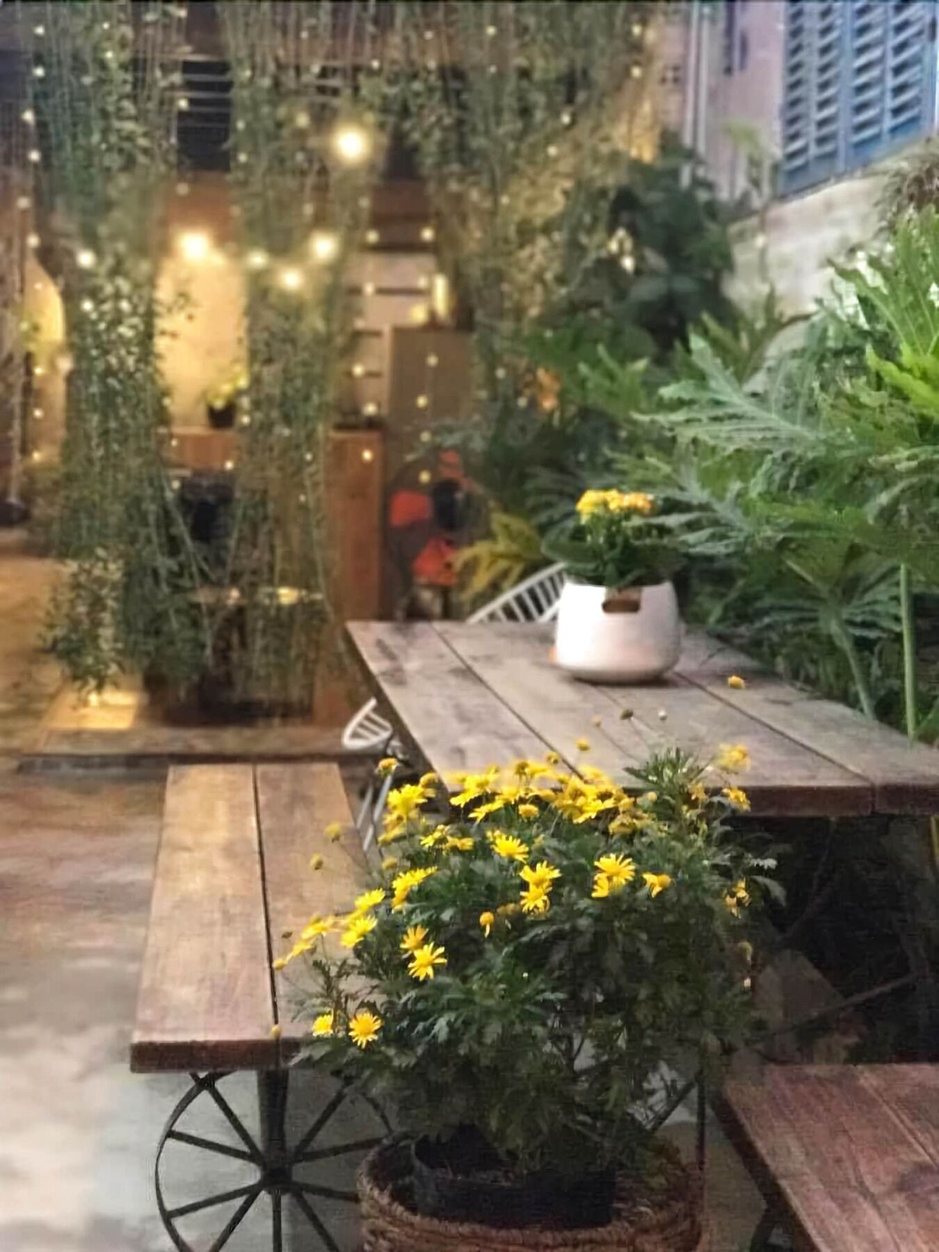 La La House Homestay На Транг Екстериор снимка